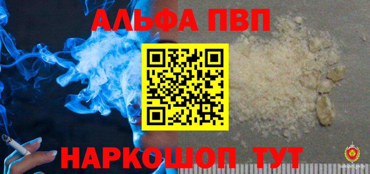 Alfa_PVP СК КРИС Коряжма