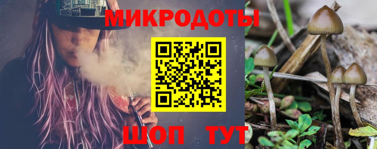 Галлюциногенные грибы прущие грибы  Вход с VPN  Коряжма 